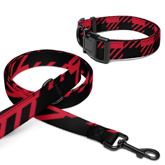 Pet collar &amp; leash