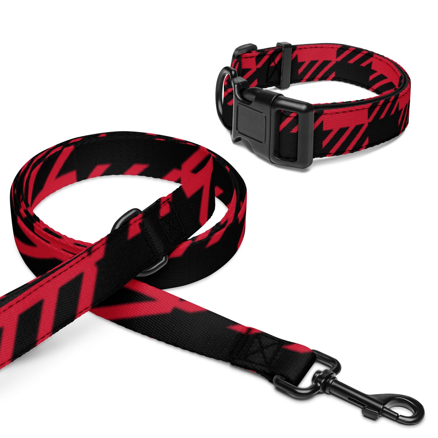 Pet collar &amp; leash