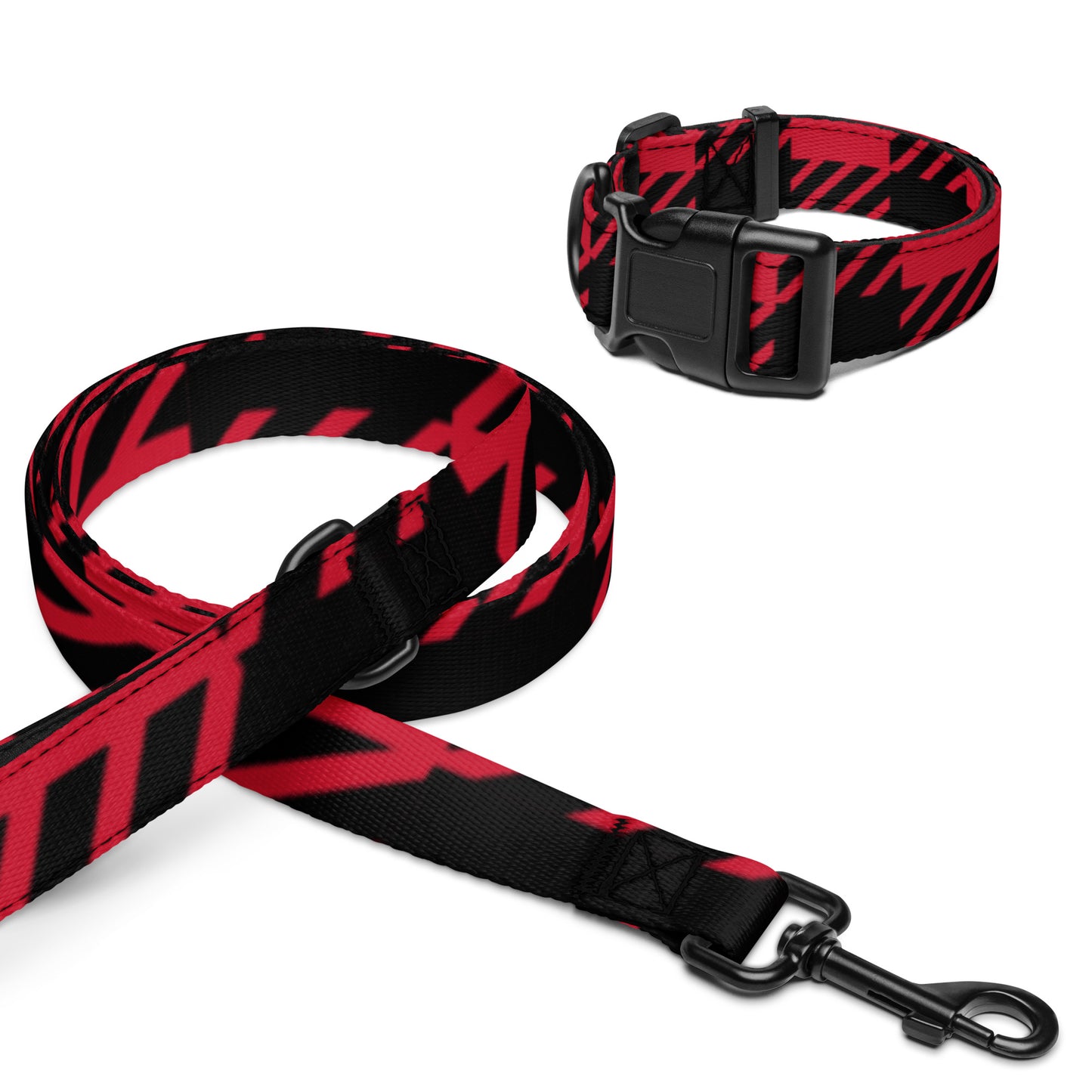 Pet collar &amp; leash