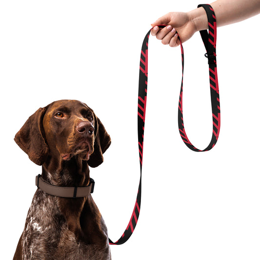 Pet leash